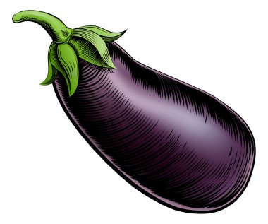 brinjal vintage gravür illüstrasyon