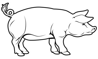 Pig illustration clipart