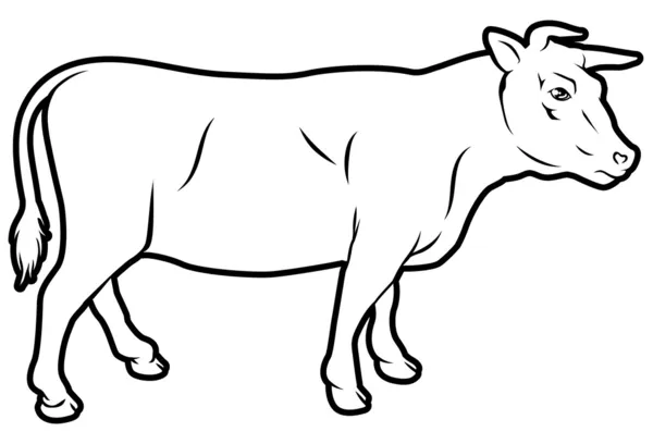 Illustrazione della mucca bovina — Vettoriale Stock