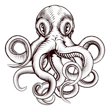 Octopus illustration clipart