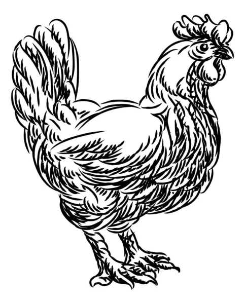 Pollo Gallo Comida Grunge Estilo Dibujado Mano Menú Opción Icono — Vector de stock