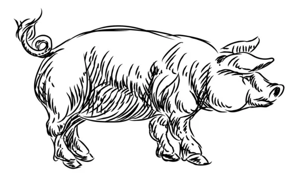 Pig Pork Food Grunge Style Hand Drawn Menu Option Icon — Stock Vector