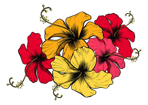 Hibiscus Bloemen Vintage Retro Houtsnede Ets Gegraveerde Stijl — Stockvector