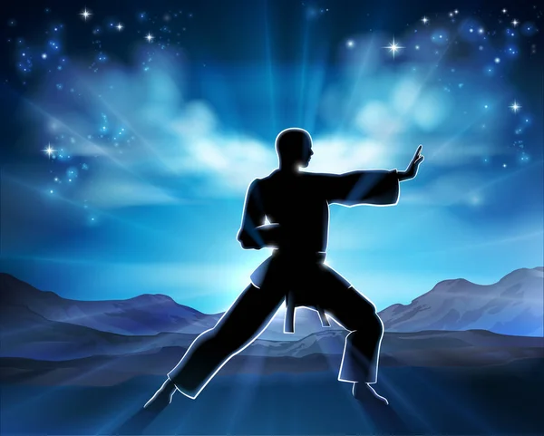 Martial Artist Silhouette Sunrise Kung Karate Pose Background Concept — 图库矢量图片