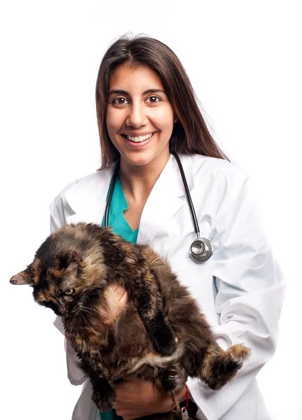 Veterinário jovem segurando um gato — Fotografia de Stock