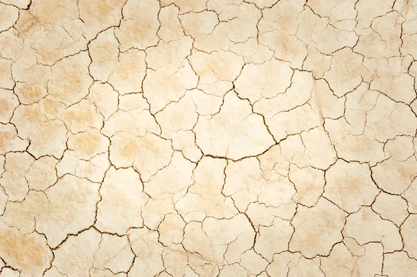 Cracked ground texture — Stock Photo, Image