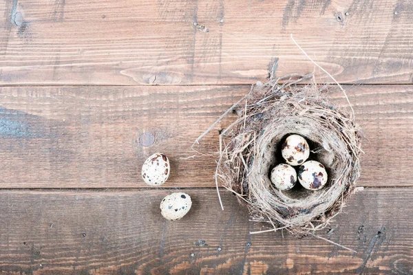 Draufsicht Auf Eier Vogelnest Auf Holzgrund Hochwertiges Foto — Stockfoto