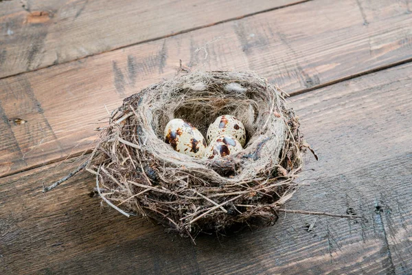 Eggs Bird Nest Wooden Background High Quality Photo — Stock Fotó