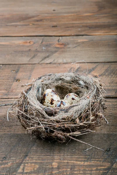 Eggs Bird Nest Wooden Background High Quality Photo — Fotografia de Stock