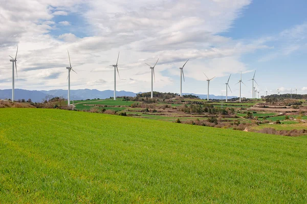 Wind Turbines Farm Field Cloudy Day High Quality Photo — 스톡 사진