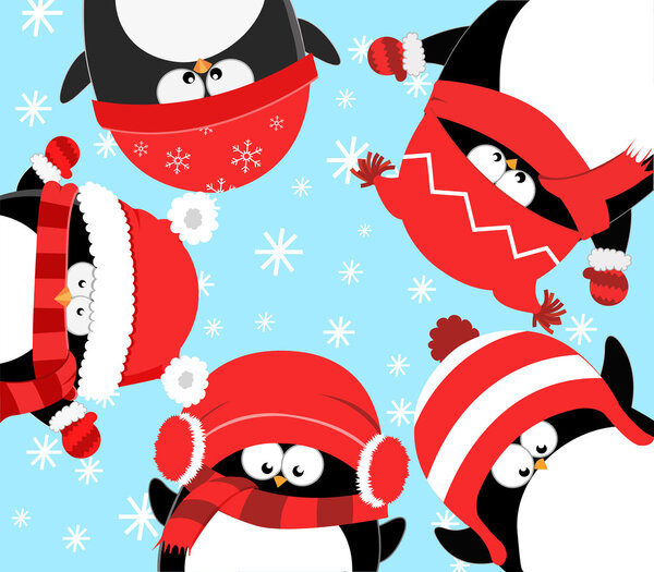 Пингвины празднуют Рождество
