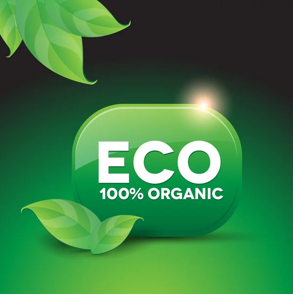 Organiczny przycisk Eco — Wektor stockowy