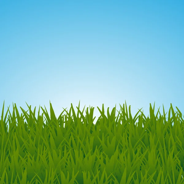 Landskap med gräs och himmel — Stock vektor