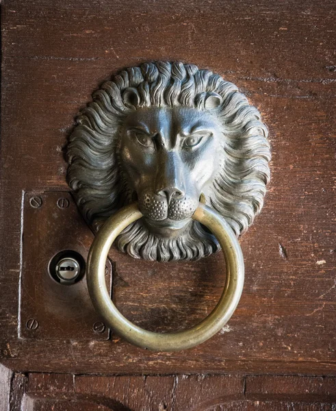 Lion Head Door Knocker, Ancient Knocker — Stock Photo, Image