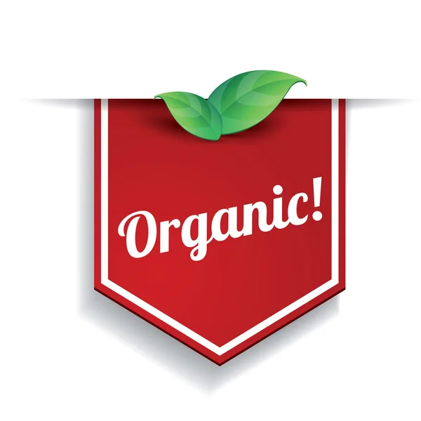 Vector organic label — Stock Vector