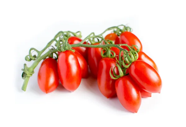 Cherry tomatoes on branch — Stock Photo, Image
