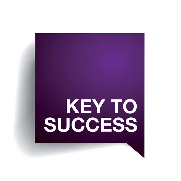 Schlüssel zum Erfolg — Stockvektor