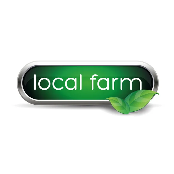 Yerel çiftlik gıda etiketi, rozet veya mühür — Stok Vektör