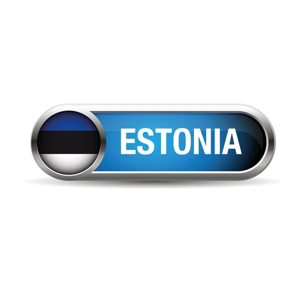 La bandera de Estonia en forma de icono brillante . — Archivo Imágenes Vectoriales