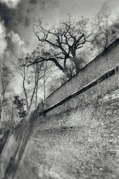 Pared rústica vintage foto - Praga, República Checa — Foto de Stock