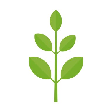 Branch with green leaves. Plant growth. Vector illustration isolated.