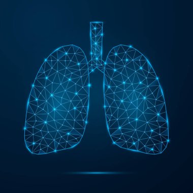 Düşük polimerli parlak noktalı insan akciğerleri. Üçgen mavi şekilli fütüristik iç organ. Koyu mavi arkaplanda izole edilmiş vektör.