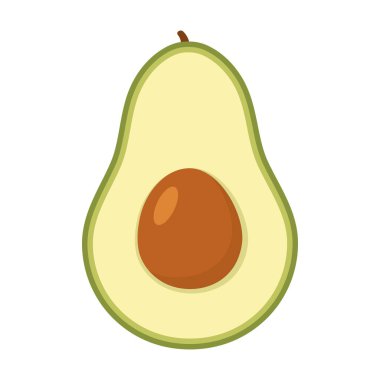 Avokado meyvesi. Kahverengi tohumlu yarım avokado. Vektör beyazda izole edildi.