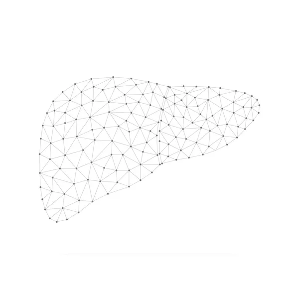 低ポリ黒の接続されたドットと人間の肝臓 三角形の線形の内臓 白地に隔離されたベクトル — ストックベクタ