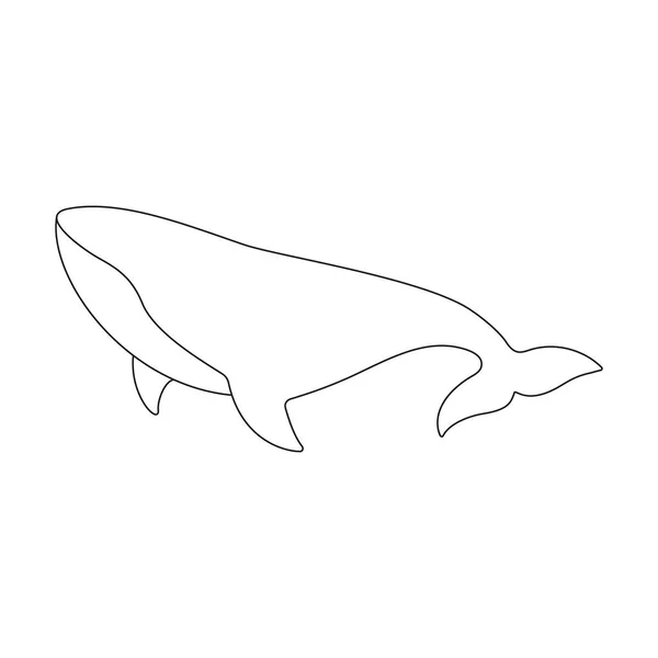 Мистецтво Малювання Китової Лінії Лінійна Тварина Сперматозоїдів Вектор Ізольовано Білому — стоковий вектор