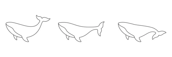 Whale Line Zeichnung Kunstsammlung Pottwale Setzen Lineare Tiere Vektor Isoliert — Stockvektor