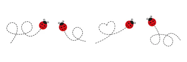Σύνολο Εικονιδίων Ladybug Ladybirds Πετούν Διακεκομμένη Διαδρομή Διάνυσμα Απομονωμένο Λευκό — Διανυσματικό Αρχείο