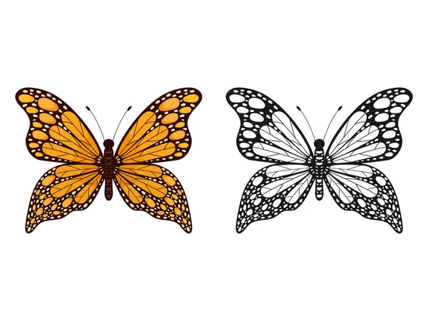 Pillangó Rovar Készlet Pillangók Színes Fekete Csoport Fehér Alapon Izolált — Stock Vector