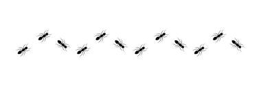 Line of working ants vector illustration isolated on white clipart