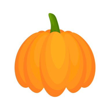 Balkabağı yassı sebze. Cadılar Bayramı hasat kabağı. Vektör beyazda izole edildi.