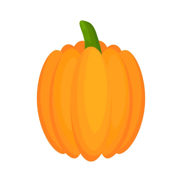 Calabaza Vegetal Plana Calabaza Halloween Vector Aislado Blanco — Archivo Imágenes Vectoriales