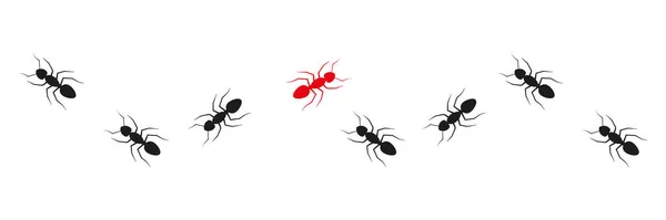 Rastro Colonia Hormigas Una Hormiga Cambiando Dirección Piensa Diferente Concepto — Vector de stock