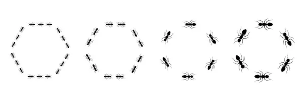 Karınca Altıgen Çerçeve Izi Seti Şçi Karınca Kolonisi Ekip Çalışması — Stok Vektör