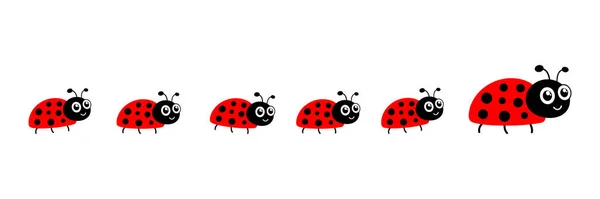 瓢虫可爱的角色集 红色的小瓢虫群在白色上隔离的病媒 — 图库矢量图片