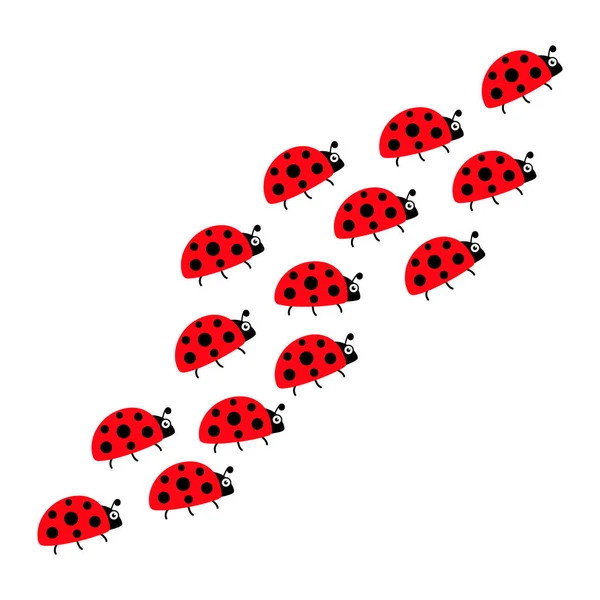 Ladybugs Lijn Groep Leuke Lieveheersbeestjes Vector Illustratie Geïsoleerd Wit — Stockvector