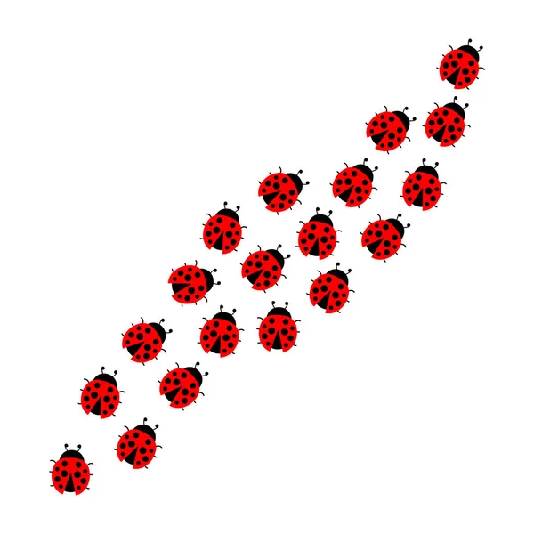 Ladybugs Lijn Groep Leuke Lieveheersbeestjes Vector Illustratie Geïsoleerd Wit — Stockvector