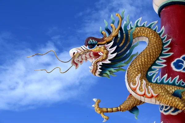 Dev Altın Çin ejderha