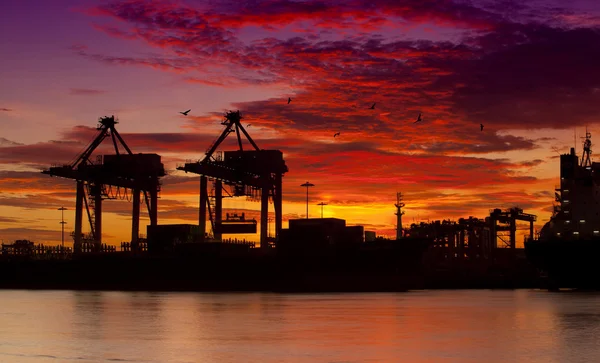 Containerfrachtschiff mit funktionierender Kranbrücke in Shipya — Stockfoto