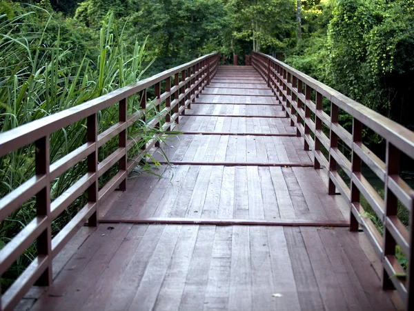 Vecchio ponte boscoso — Foto Stock