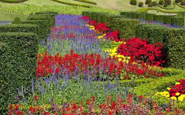 Formal Garden — Stock Image Formal Garden Stock Photo