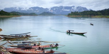 Khao sok Tabiat Parkı