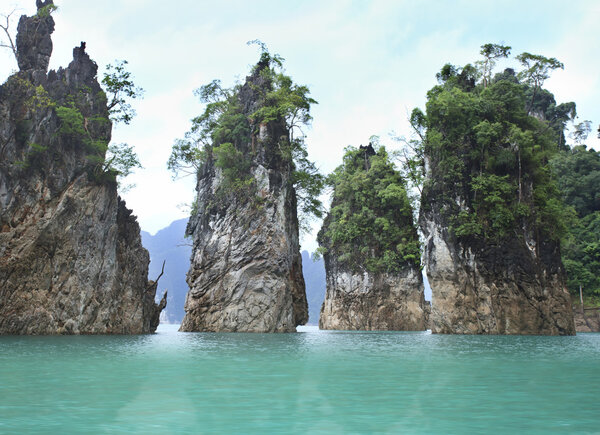 Khao sok nature park