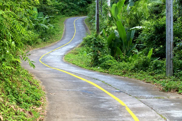 Road to the nature — Stock Photo, Image