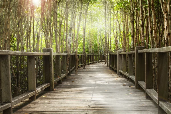 Ponte di legno — Foto Stock