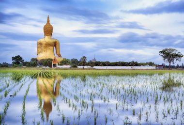 Tayland en büyük Buda