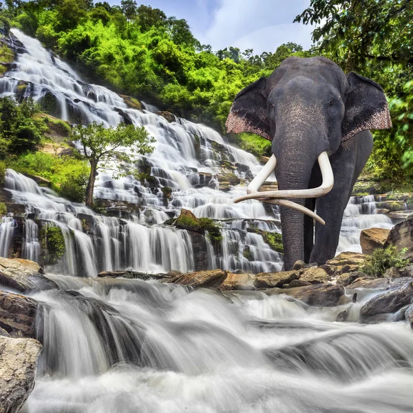 Mae ya vattenfall — Stockfoto